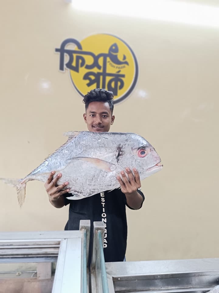 Fresh fish