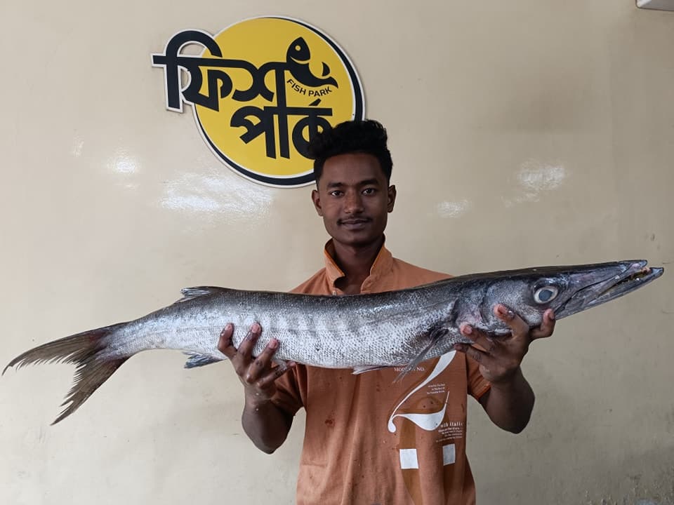 Fresh fish