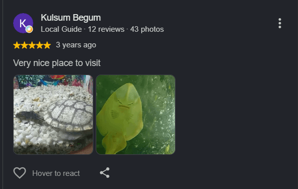 Google review 6