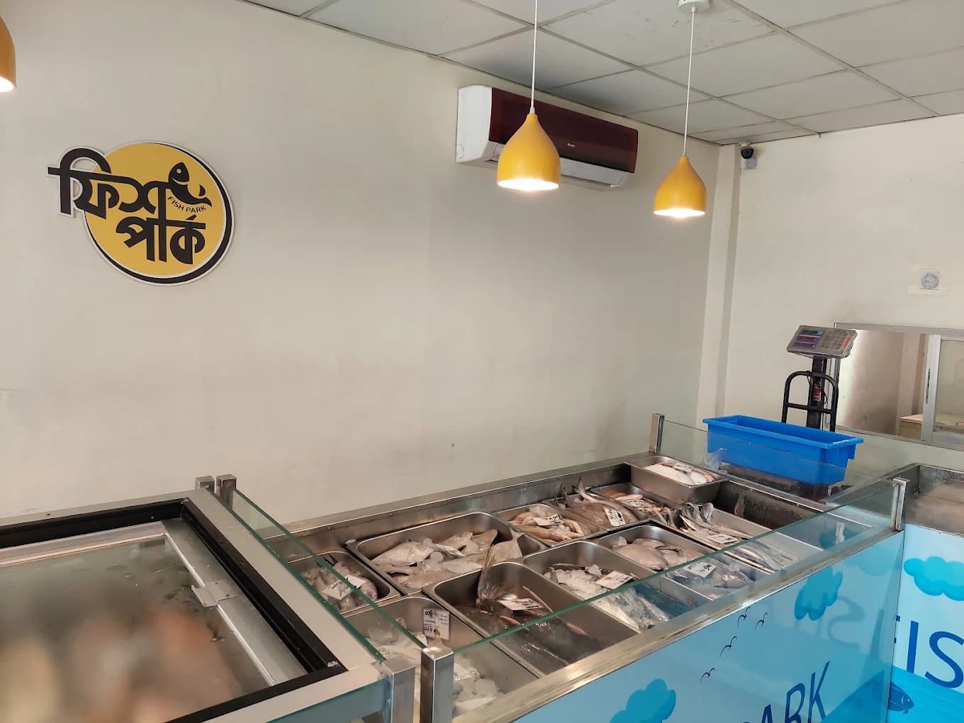 Fish Park shop