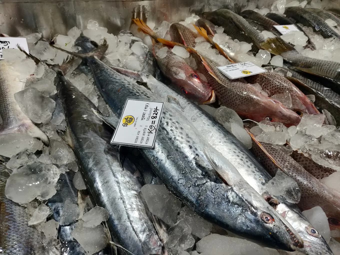 Fish Park shop