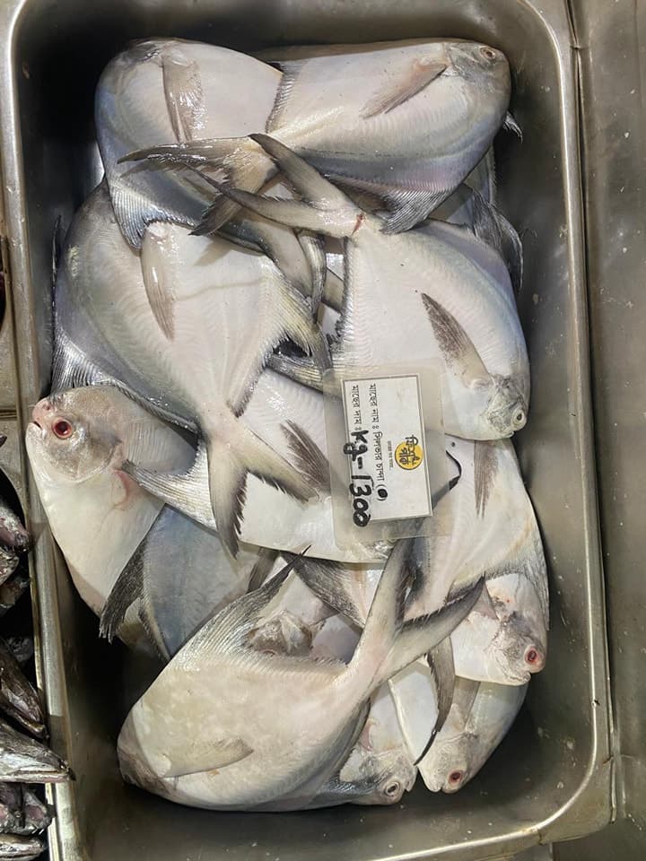 Pomfret